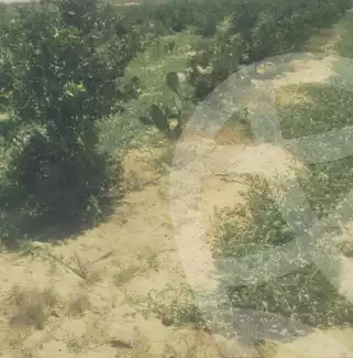 https://aqarmap.com.eg/en/listing/6164852-for-sale-beheira-wadi-el-natrun