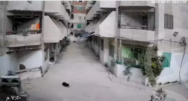 https://aqarmap.com.eg/en/listing/6165262-for-sale-alexandria-l-jmy-el-hanouvel