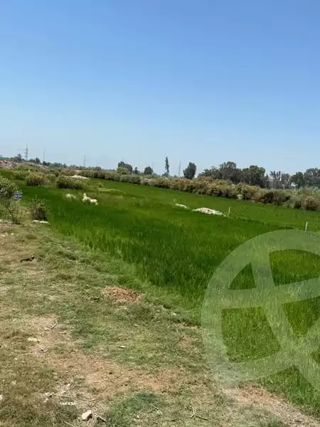 https://aqarmap.com.eg/en/listing/6167836-for-sale-dakahlia-mansoura