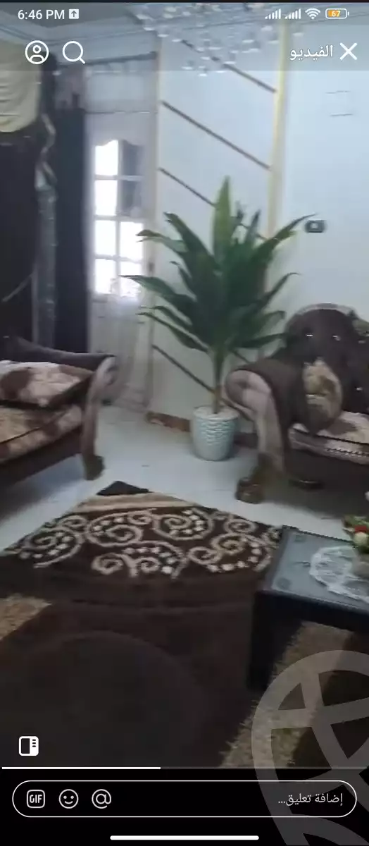 https://aqarmap.com.eg/en/listing/6173992-for-sale-cairo-el-haram-shareaa-el-talateny