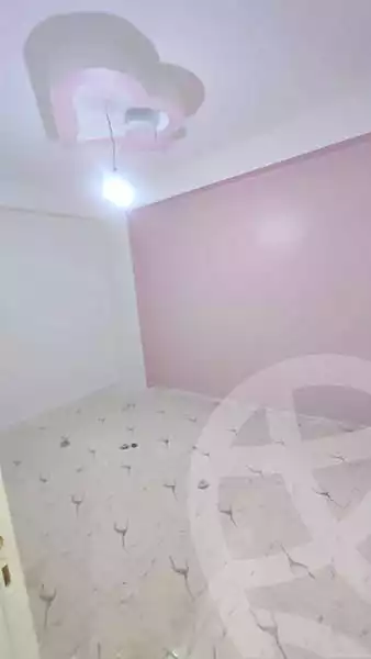 https://aqarmap.com.eg/en/listing/6185316-for-rent-qalyubia-shubra-el-khaima-om-bayoumi