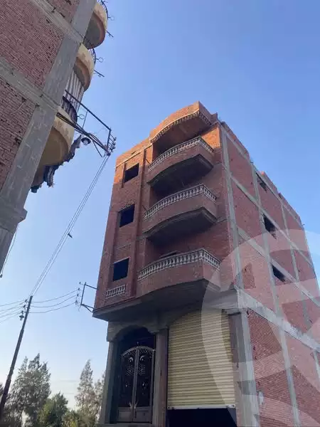 https://aqarmap.com.eg/en/listing/6187676-for-sale-dakahlia-talkha