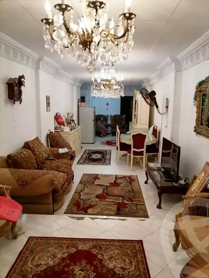 https://aqarmap.com.eg/ar/listing/6195443-for-sale-alexandria-zezenia