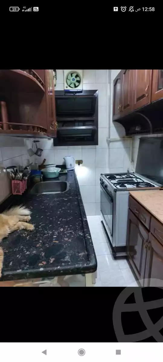 https://aqarmap.com.eg/ar/listing/6195745-for-rent-qalyubia-shubra-el-khaima-el-shareaa-el-gadid-st