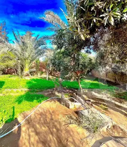 https://aqarmap.com.eg/ar/listing/6195818-for-sale-sharqia-bilbeis-belbes-city