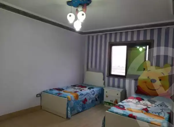 https://aqarmap.com.eg/en/listing/6197103-for-rent-cairo-nasr-city-ly-myn