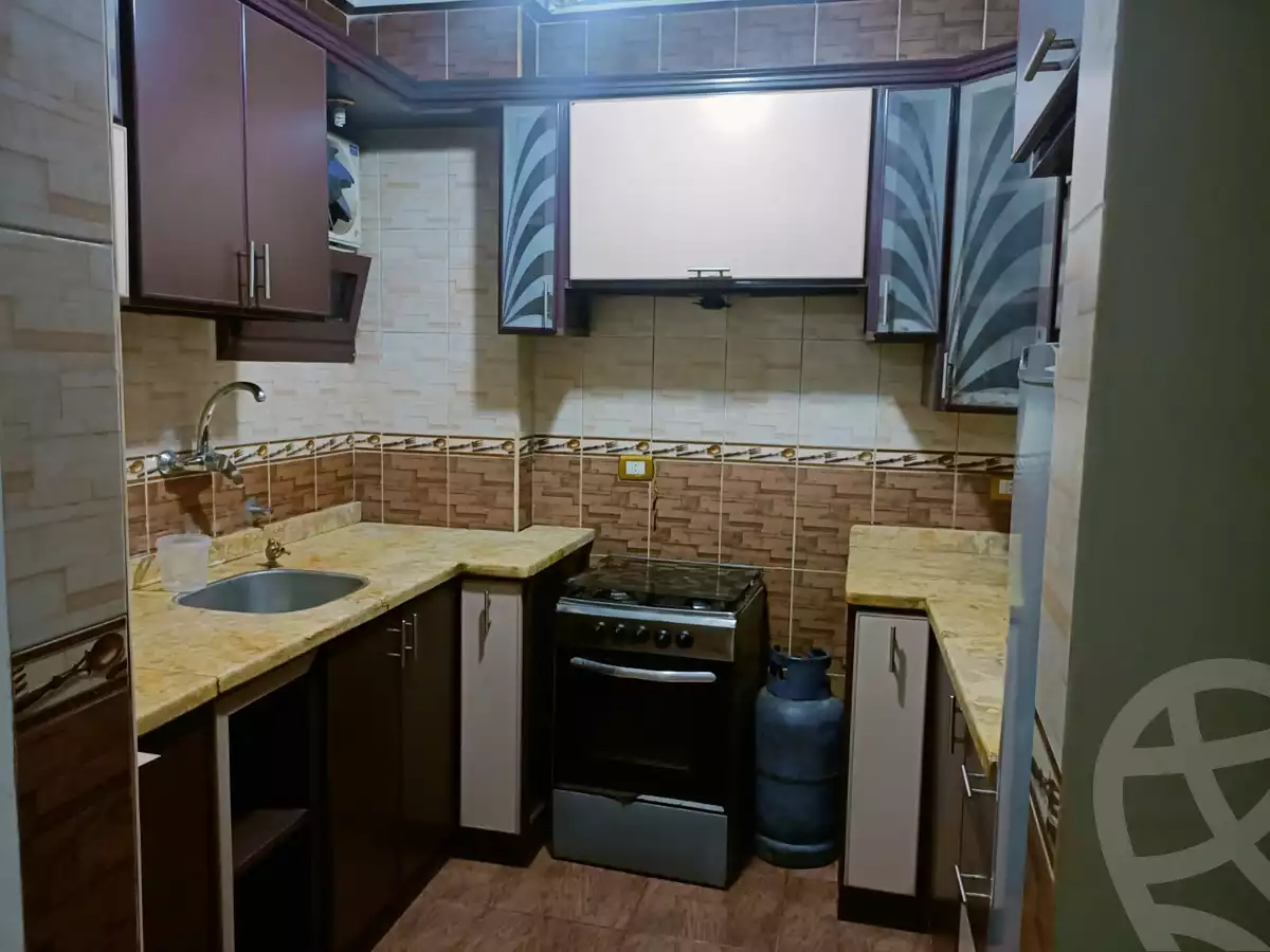https://aqarmap.com.eg/en/listing/6201631-for-sale-cairo-ain-shams-mnshy-lthryr