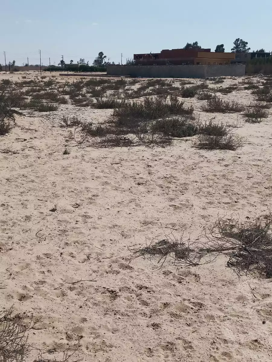 https://aqarmap.com.eg/ar/listing/6206406-for-sale-ismailia-ismailia-city-ismailia-city