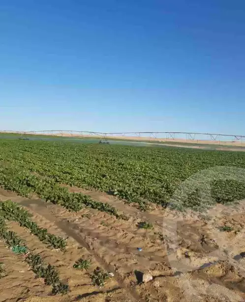 https://aqarmap.com.eg/en/listing/6206754-for-sale-el-minia-mdyn-lmny