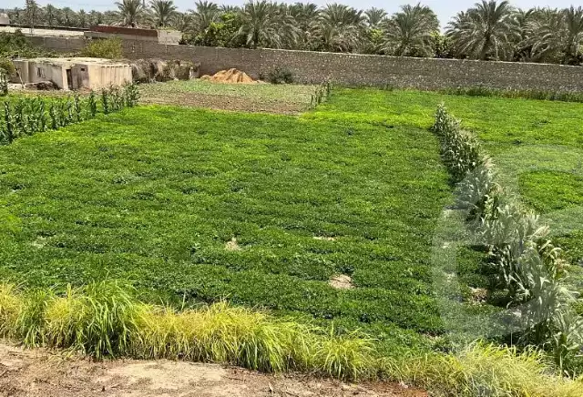 https://aqarmap.com.eg/en/listing/6207988-for-sale-cairo-el-mansuriyyah