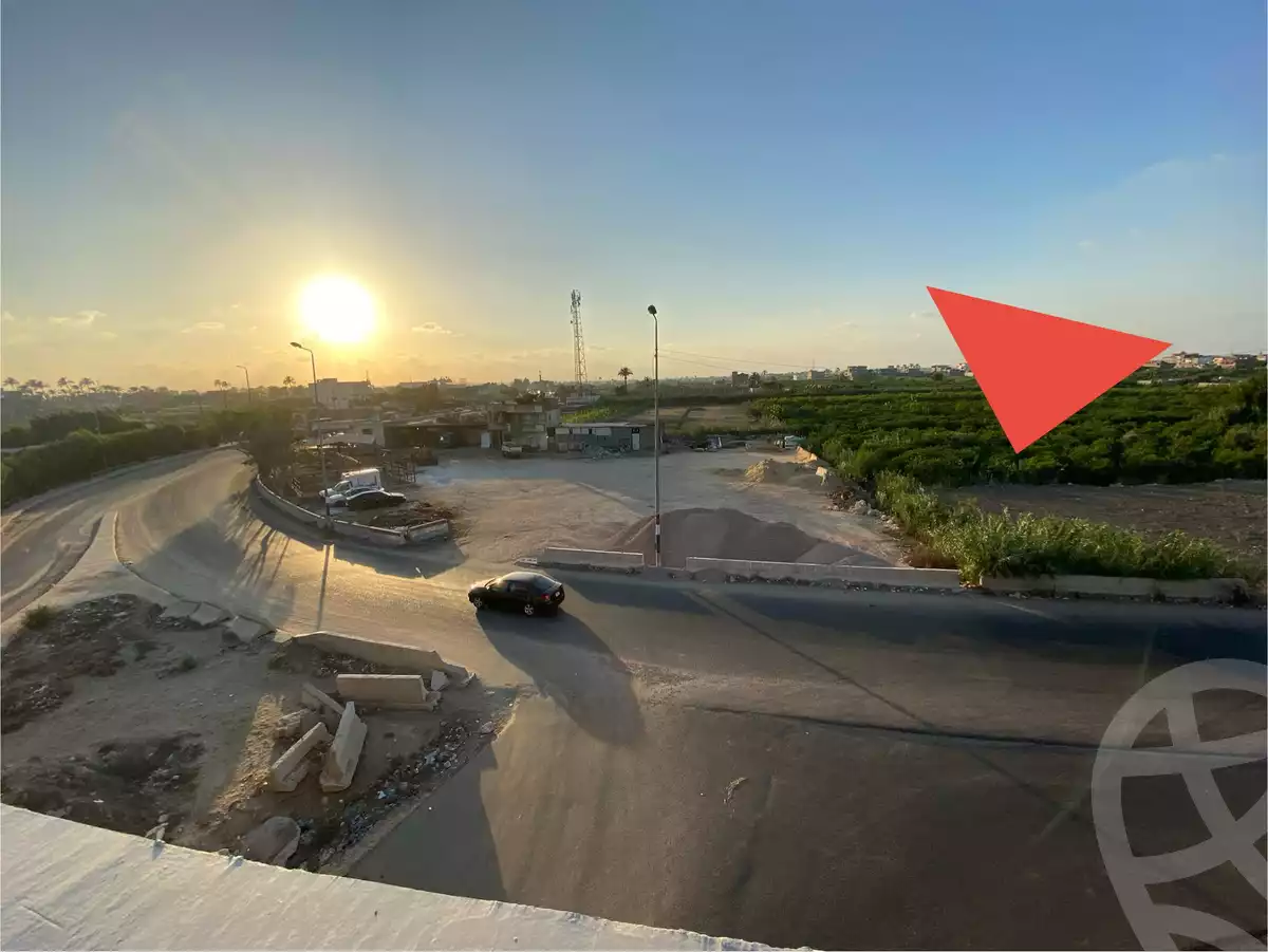 https://aqarmap.com.eg/ar/listing/6213411-for-sale-alexandria-miami-45-street