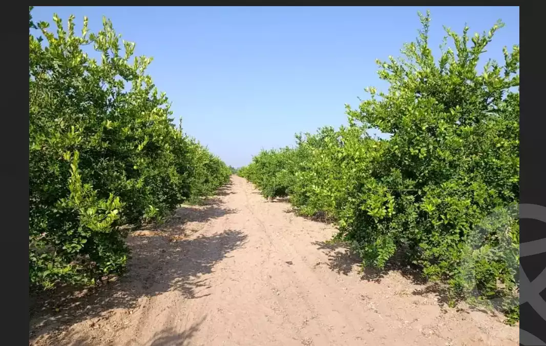 https://aqarmap.com.eg/ar/listing/6216600-for-sale-beheira-badr-el-kefah