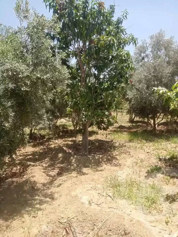 https://aqarmap.com.eg/en/listing/6219430-for-sale-suez-el-arebaaen-ismailia-suez-rd
