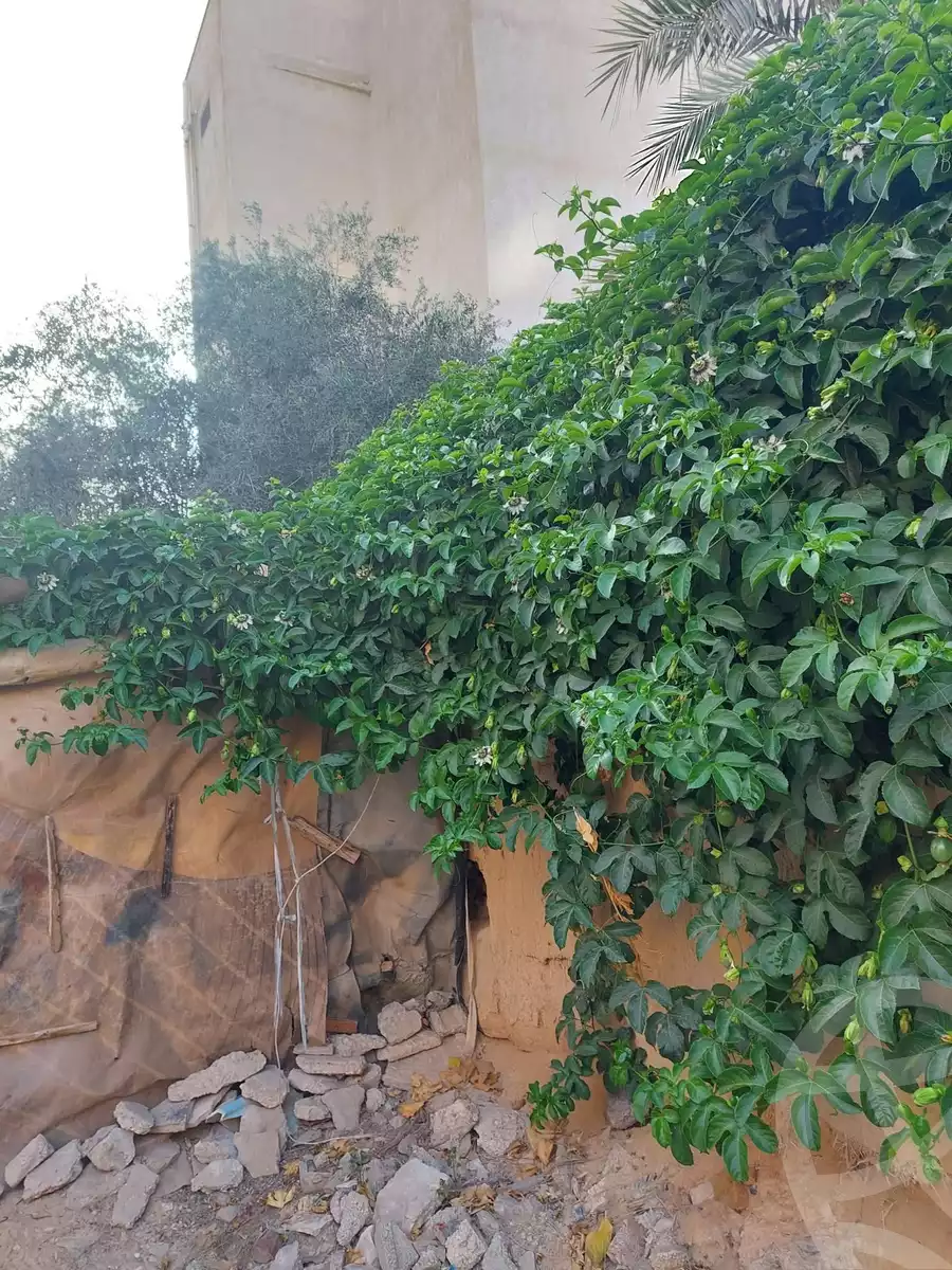 https://aqarmap.com.eg/en/listing/6225997-for-sale-ismailia-kassassin