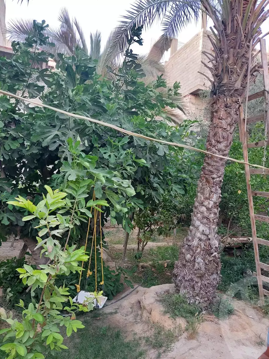 https://aqarmap.com.eg/en/listing/6225997-for-sale-ismailia-kassassin