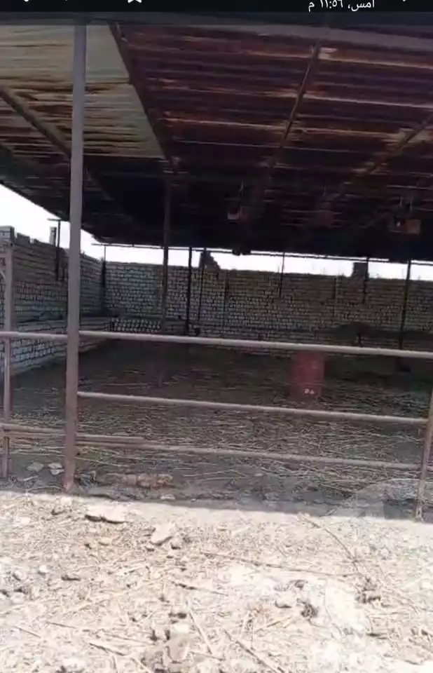 https://aqarmap.com.eg/en/listing/6229516-for-sale-el-fayoum-fayoum-fayoum-city