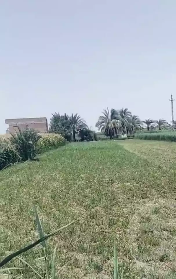 https://aqarmap.com.eg/en/listing/6229516-for-sale-el-fayoum-fayoum-fayoum-city