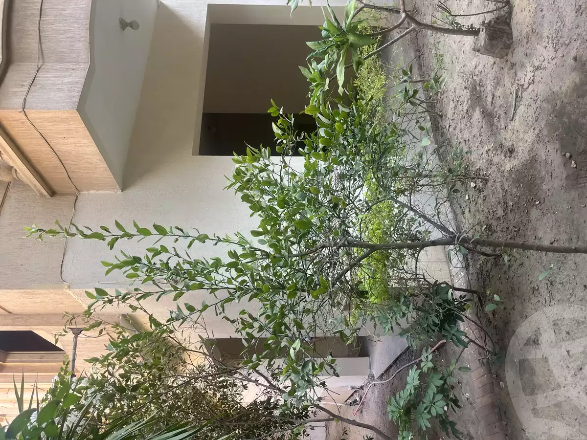 https://aqarmap.com.eg/ar/listing/6233202-for-sale-cairo-new-cairo-el-diplomaseen