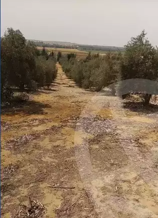 https://aqarmap.com.eg/ar/listing/6233519-for-sale-beheira-wadi-el-natrun