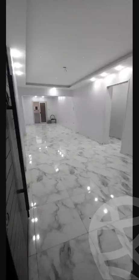 https://aqarmap.com.eg/en/listing/6233613-for-rent-alexandria-miami-abou-el-arab-st