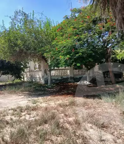 https://aqarmap.com.eg/en/listing/6236170-for-sale-alexandria-el-amreya