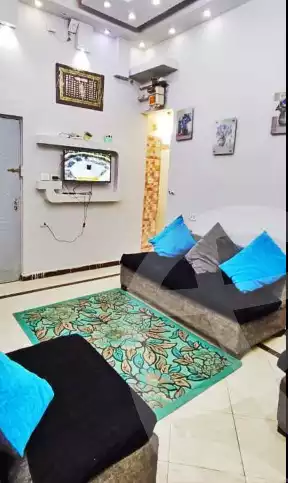 https://aqarmap.com.eg/en/listing/6237648-for-rent-cairo-manial