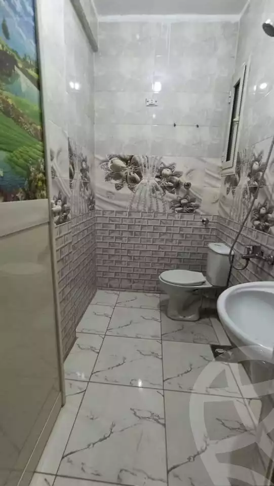 https://aqarmap.com.eg/en/listing/6243086-for-rent-qalyubia-shubra-el-khaima-om-bayoumi