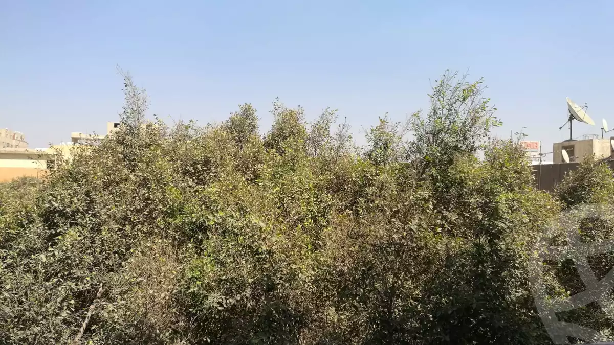 https://aqarmap.com.eg/ar/listing/6255408-for-rent-cairo-el-haram-madkor