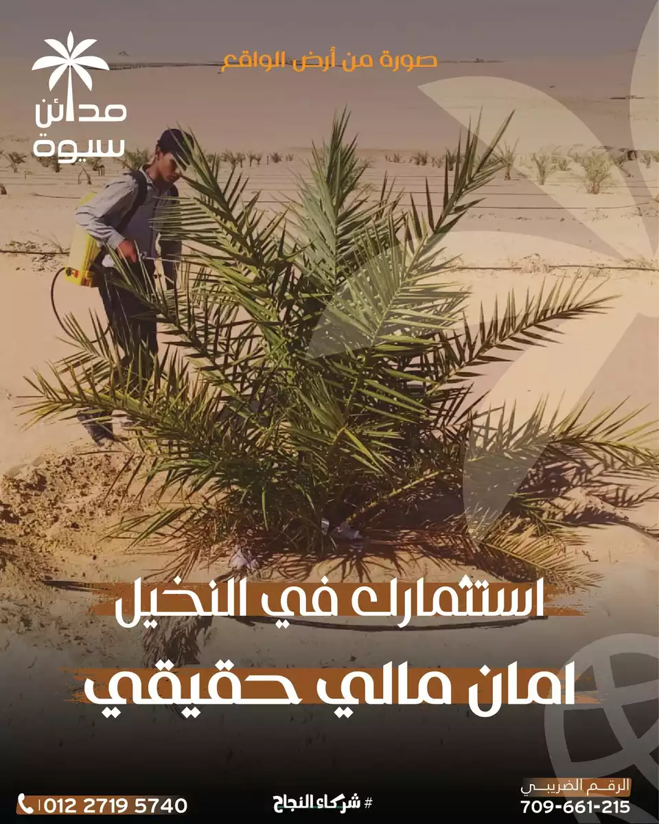 https://aqarmap.com.eg/en/listing/6262921-for-sale-marsa-matruh-siwa-oasis-wahet-siwaa-city