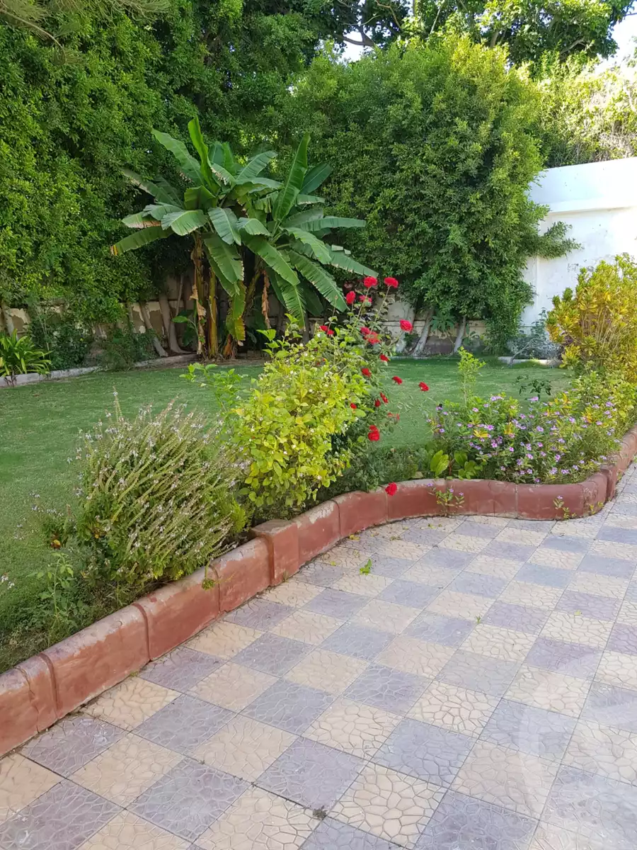 https://aqarmap.com.eg/ar/listing/6263280-for-sale-alexandria-king-maryot-omar-el-mokhtar-st