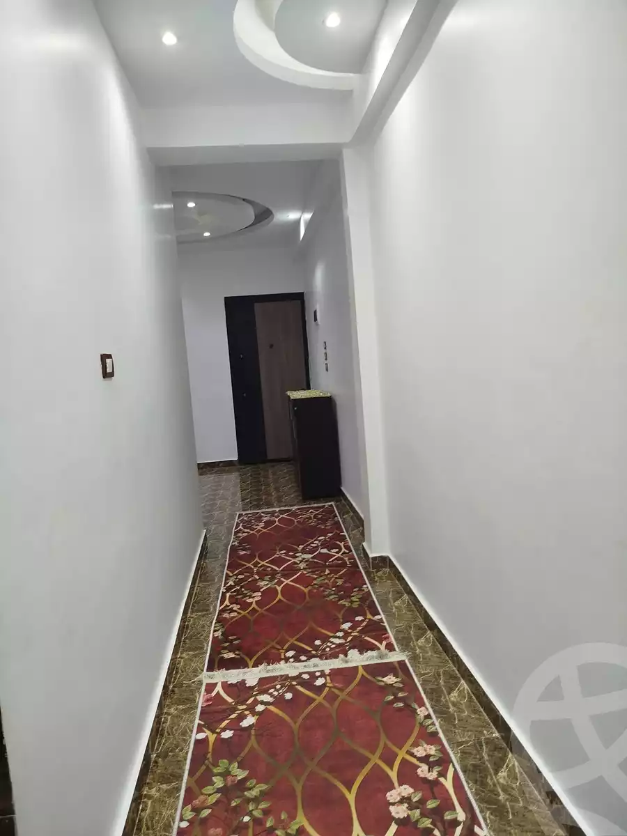 https://aqarmap.com.eg/ar/listing/6263743-for-rent-aswan-aswan-city-aswan-city