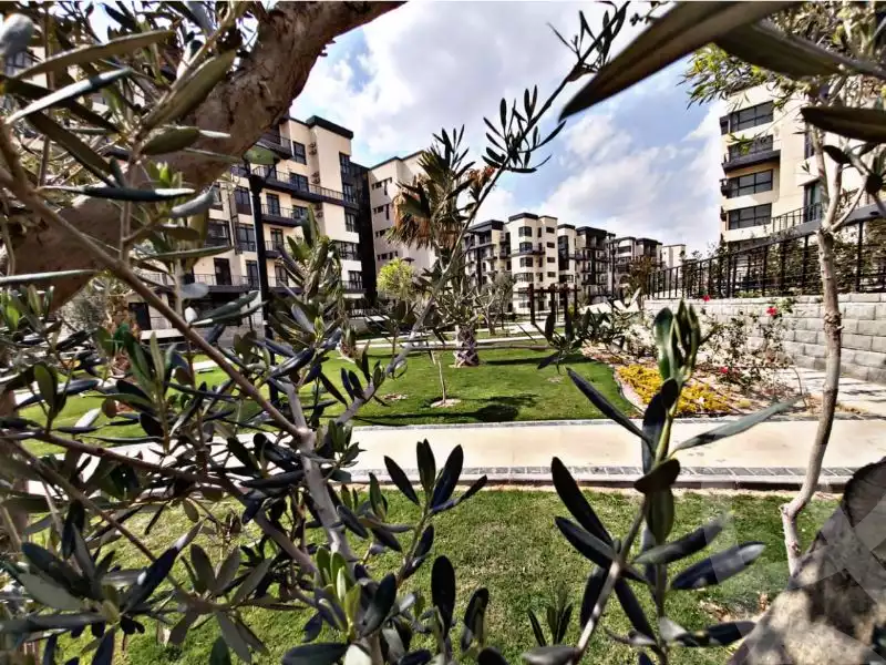https://aqarmap.com.eg/ar/listing/6265080-for-rent-cairo-new-cairo-madinaty-eighth-zone-buildings-madinaty-b-8