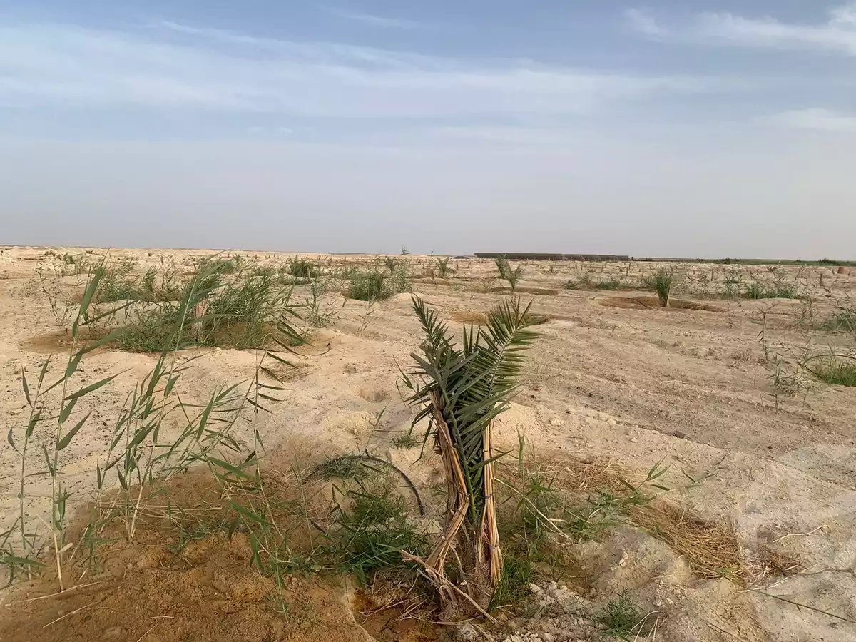 https://aqarmap.com.eg/ar/listing/6265926-for-sale-new-valley-farafra