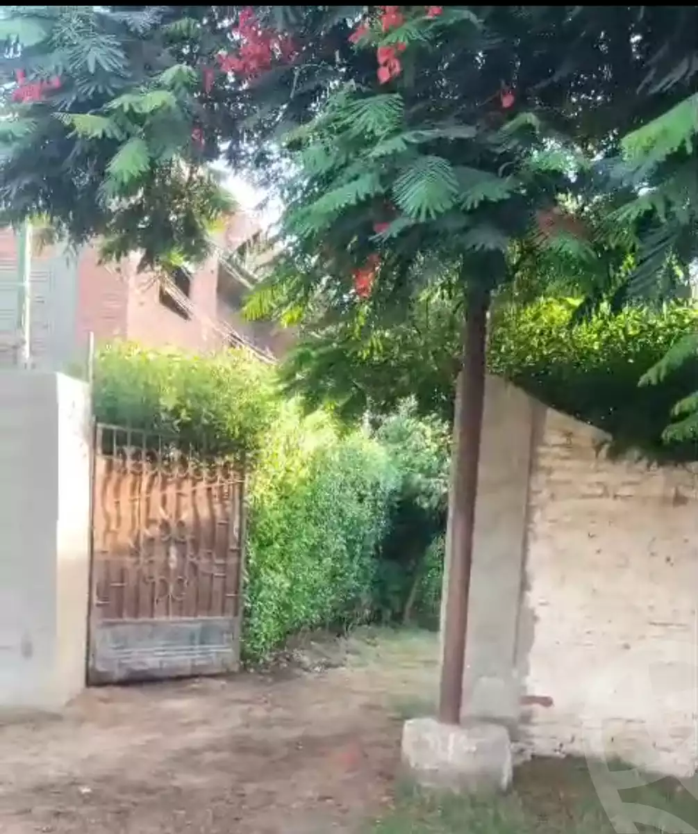 https://aqarmap.com.eg/ar/listing/6204432-for-sale-cairo-el-mansuriyyah-el-saliba