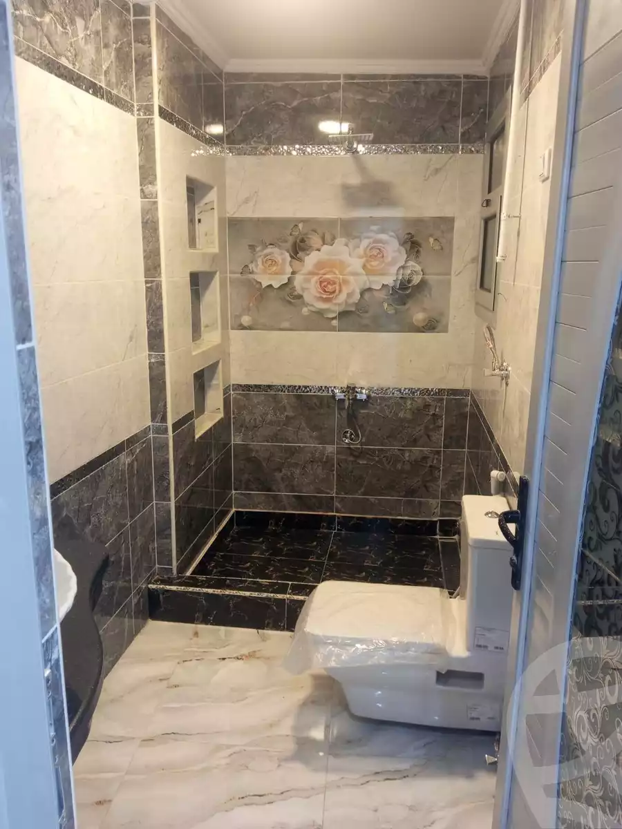 https://aqarmap.com.eg/en/listing/6272301-for-rent-cairo-ain-shams-mnshy-lthryr