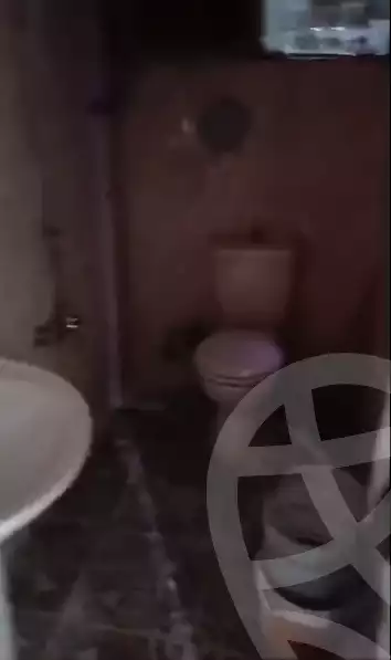 https://aqarmap.com.eg/en/listing/6274921-for-rent-qalyubia-shubra-el-khaima-om-bayoumi