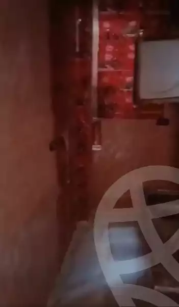 https://aqarmap.com.eg/en/listing/6274921-for-rent-qalyubia-shubra-el-khaima-om-bayoumi