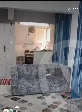https://aqarmap.com.eg/en/listing/6275699-for-rent-cairo-dokki-shareaa-el-doqi