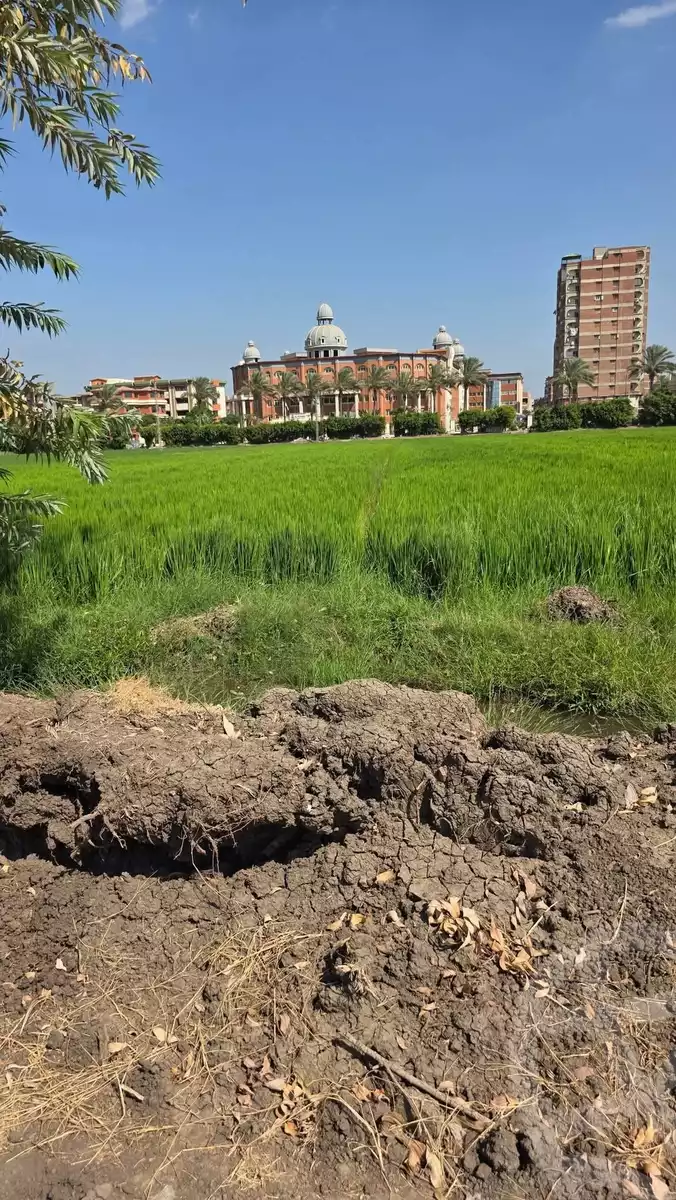 https://aqarmap.com.eg/en/listing/6276518-for-sale-sharqia-zagazig-zagazig-city-el-ahrar-rd