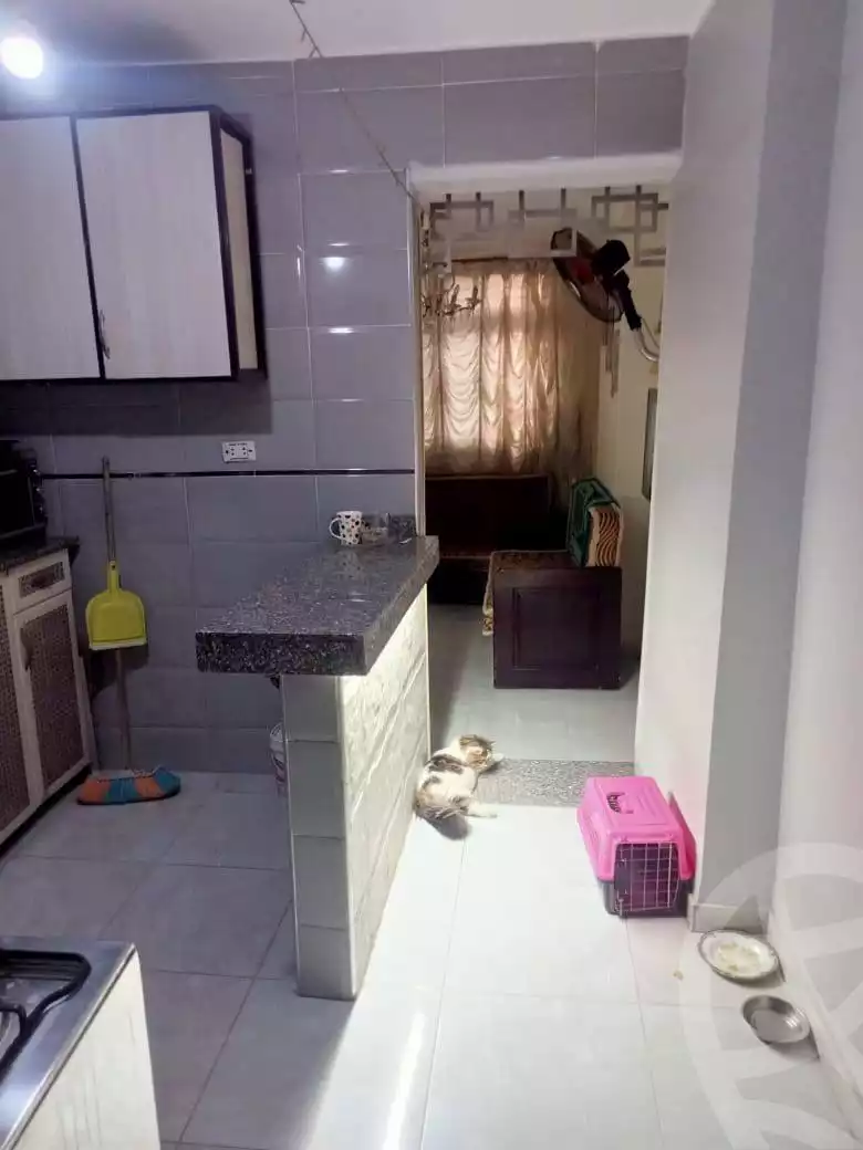 https://aqarmap.com.eg/ar/listing/6279326-for-sale-cairo-ain-shams-alf-maskn