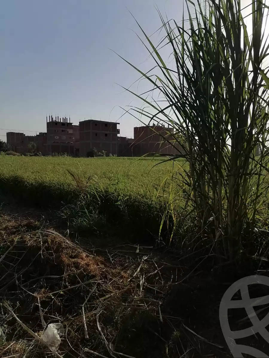 https://aqarmap.com.eg/ar/listing/6281522-for-sale-cairo-el-marg-lmrj-ljdyd-el-gazira-st