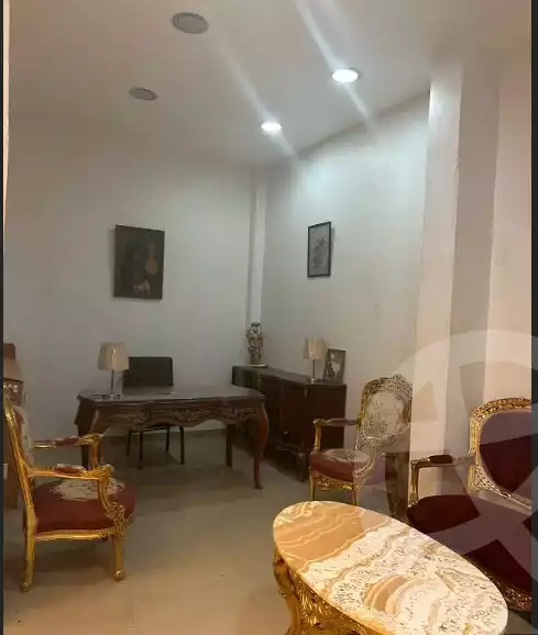 https://aqarmap.com.eg/ar/listing/6281992-for-rent-gharbia-tanta-tanta-city-ali-mobarak-st
