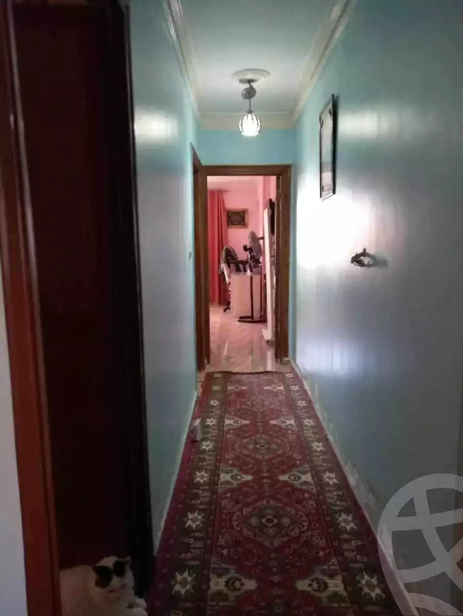 https://aqarmap.com.eg/en/listing/6284699-for-sale-alexandria-moharram-bey-al-kataai-st
