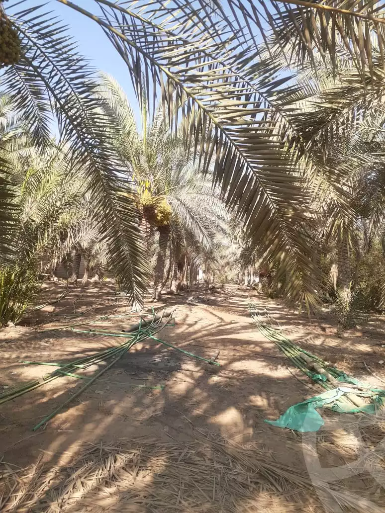 https://aqarmap.com.eg/en/listing/6003861-for-sale-sharqia-10th-of-ramadan-al-hay-al-thany-ashar