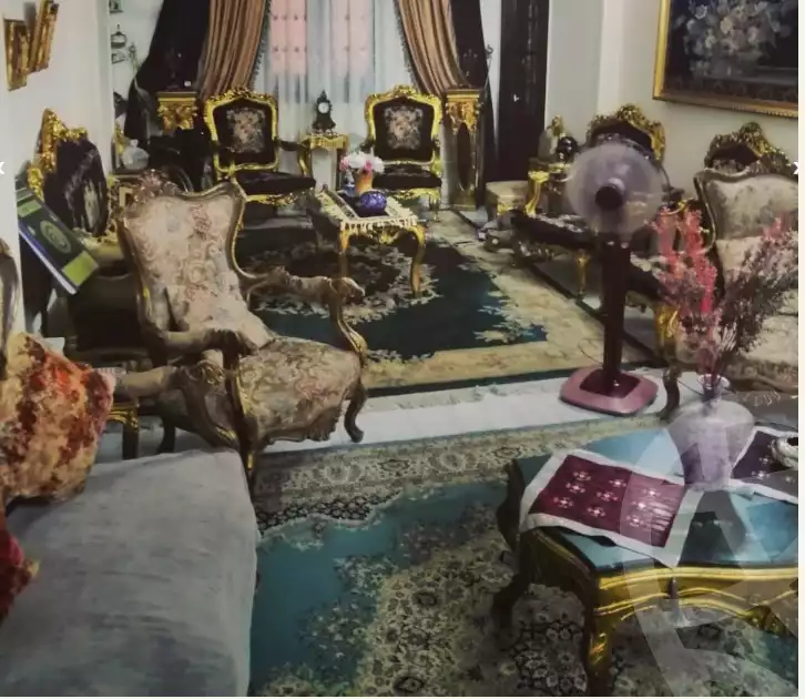 https://aqarmap.com.eg/ar/listing/6303308-for-sale-dakahlia-mansoura-el-mansoura-city-el-nakhla-st