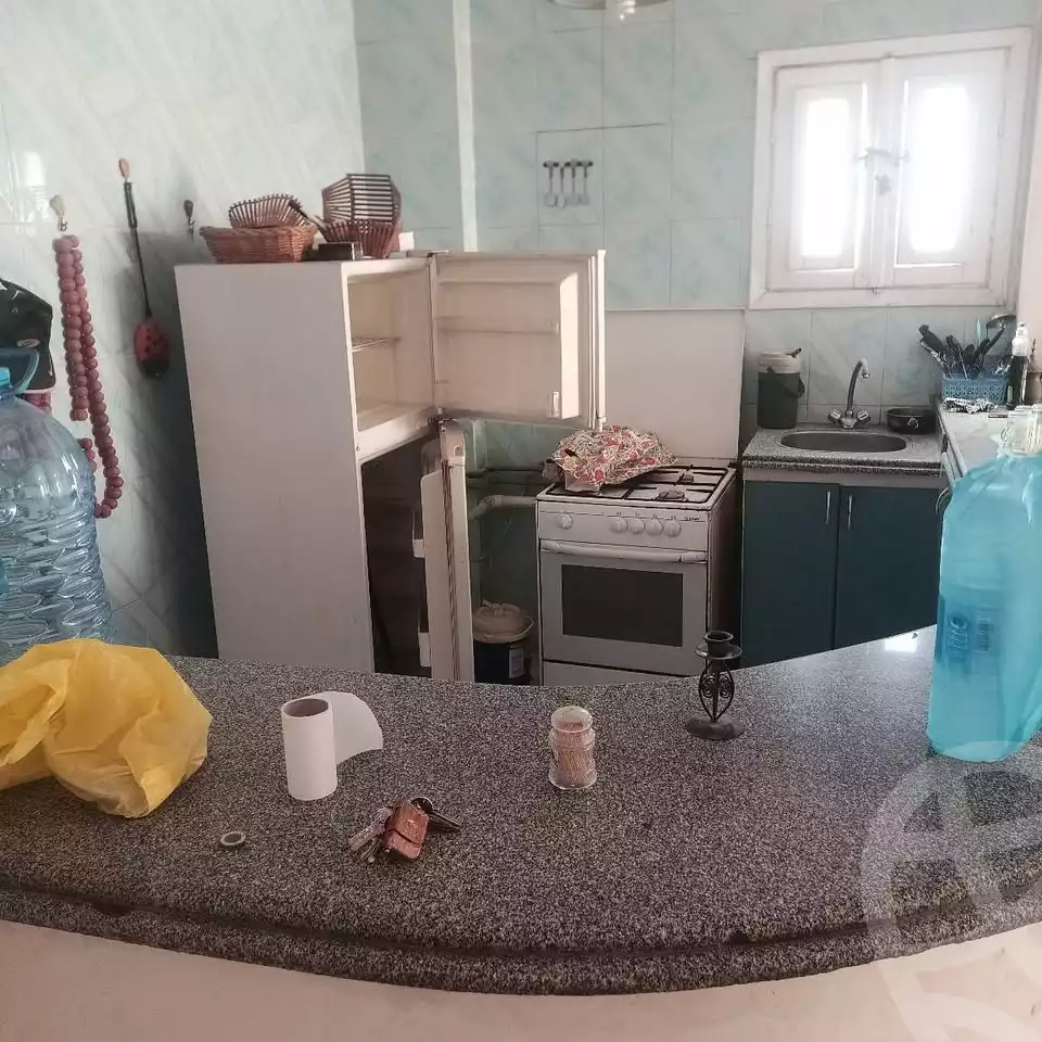 https://aqarmap.com.eg/en/listing/6304654-for-sale-alexandria-l-jmy-shataa-el-nakheel