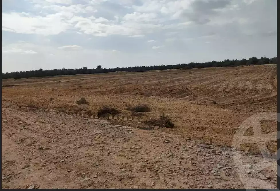 https://aqarmap.com.eg/en/listing/6306335-for-sale-ismailia-abu-sweer