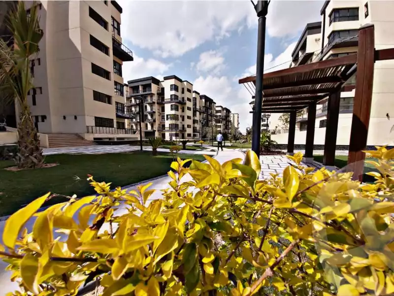 https://aqarmap.com.eg/ar/listing/6313676-for-rent-cairo-new-cairo-madinaty-eighth-zone-buildings-madinaty-b-8