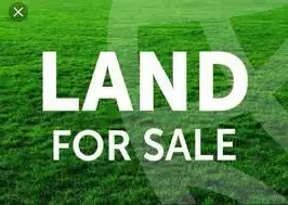 https://aqarmap.com.eg/en/listing/6313977-for-sale-cairo-6th-of-october-green-belt-wadi-el-nile