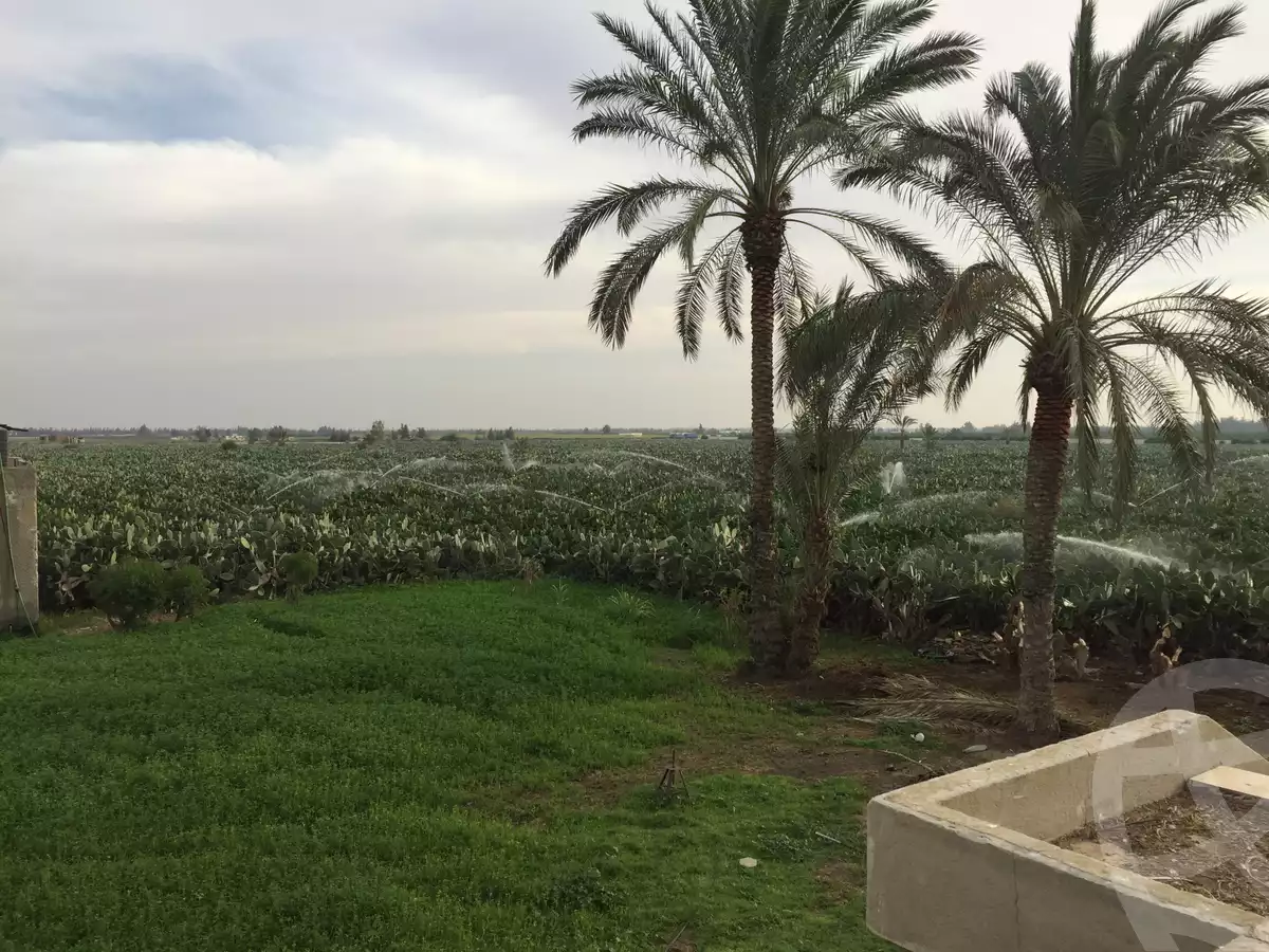 https://aqarmap.com.eg/en/listing/6314519-for-sale-beheira-new-nubariya-el-yasha-village